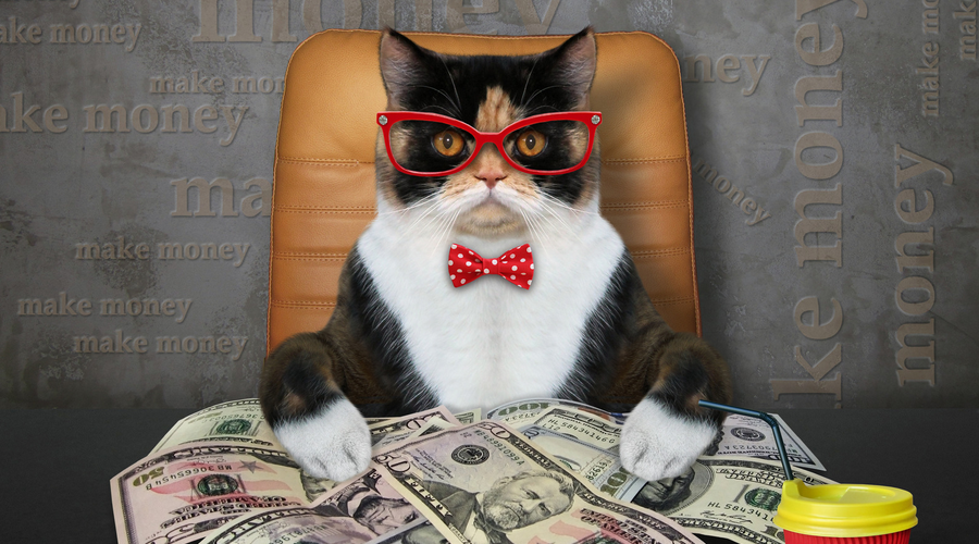 子猫の初期費用はいくら