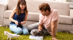 猫を飼うのに向いている人